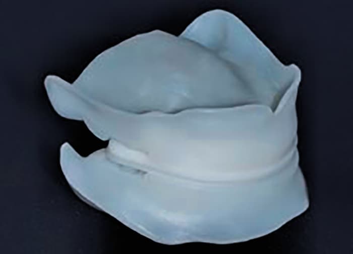 Ivoclar Digital Denture 3D Bite Plate