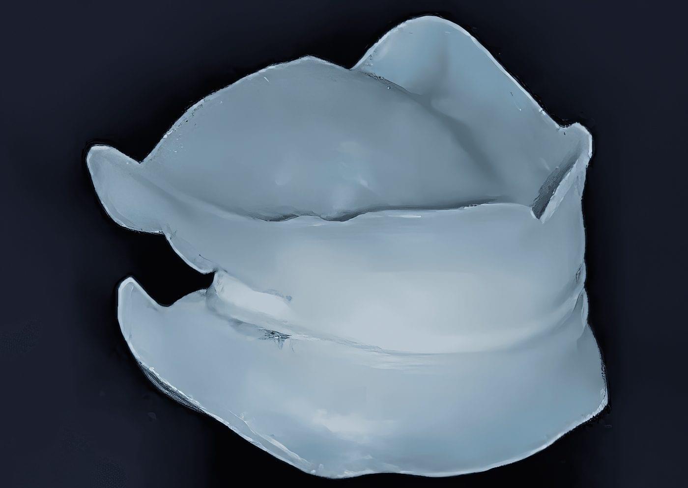3D Bite Plate - Ivoclar Digital Bite Plates - Burbank Dental Lb