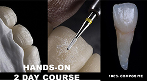 VISTA Institute Course 2025 - Burbank Dental Lab